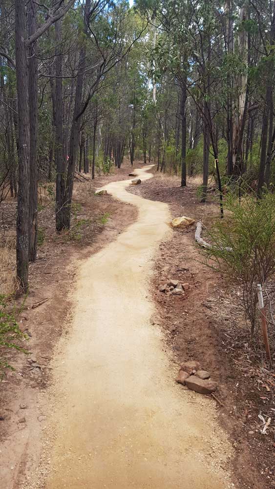 fresh mountain bike trail ready for riding. 