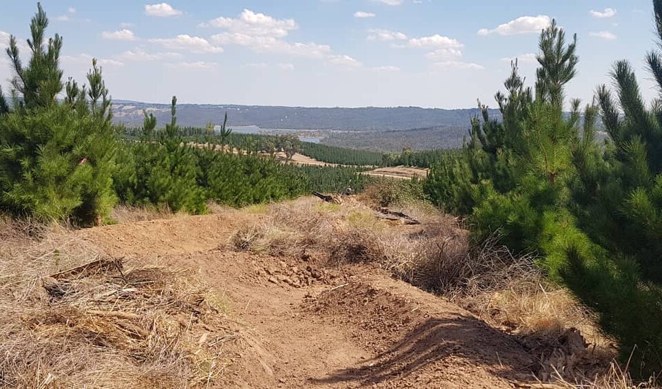 Bennets Mountain Bike Trails